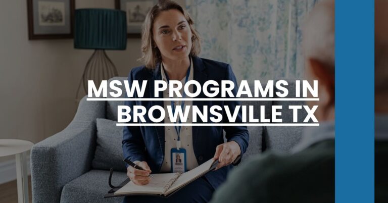 MSW Programs in Brownsville TX Feature Image