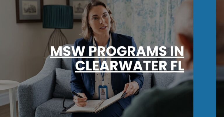 MSW Programs in Clearwater FL Feature Image