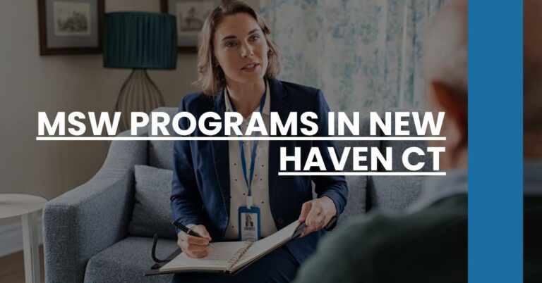 MSW Programs in New Haven CT Feature Image