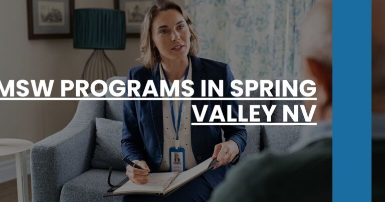 MSW Programs in Spring Valley NV Feature Image