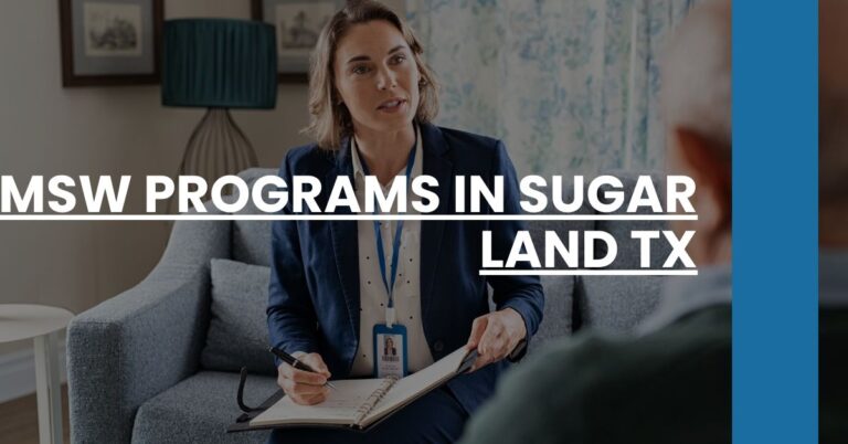 MSW Programs in Sugar Land TX Feature Image