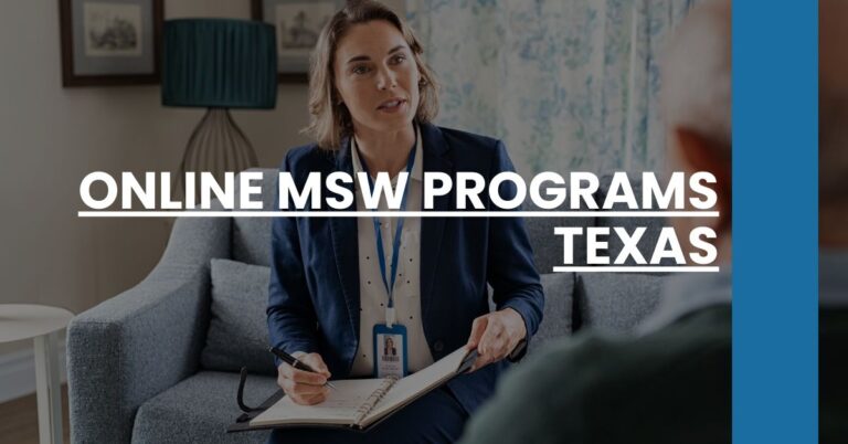 Online MSW Programs Texas Feature Image